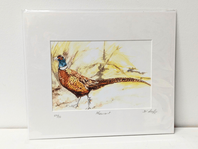Limited Edition Print by Mairead Duffy - 'Pheasant'